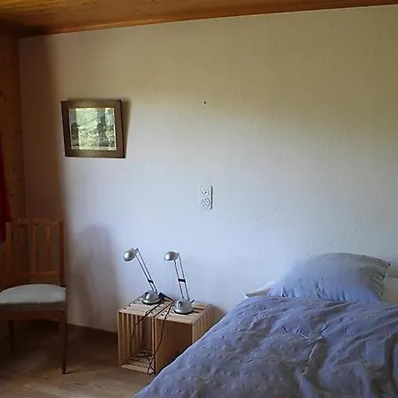 Saanenmoser Sleeps 6 Wifi Apartment